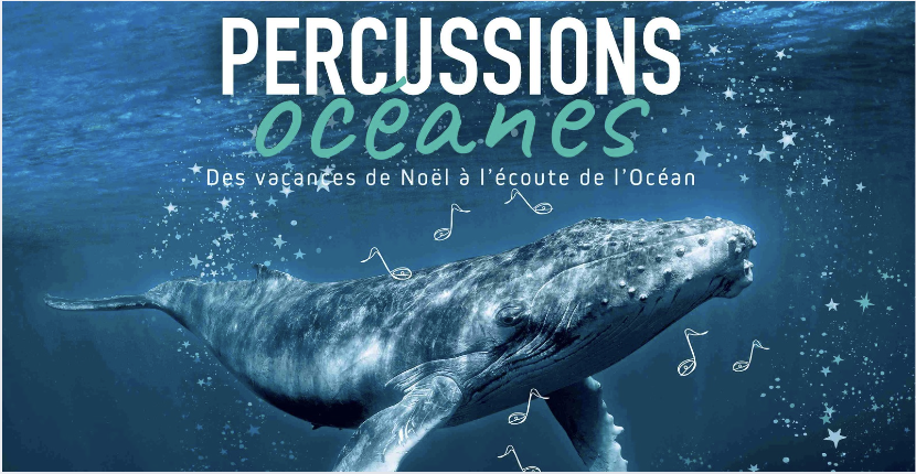  Percussions océanes - contes, spectacles et ateliers créatifs pour les vacances de noël à Océanopolis