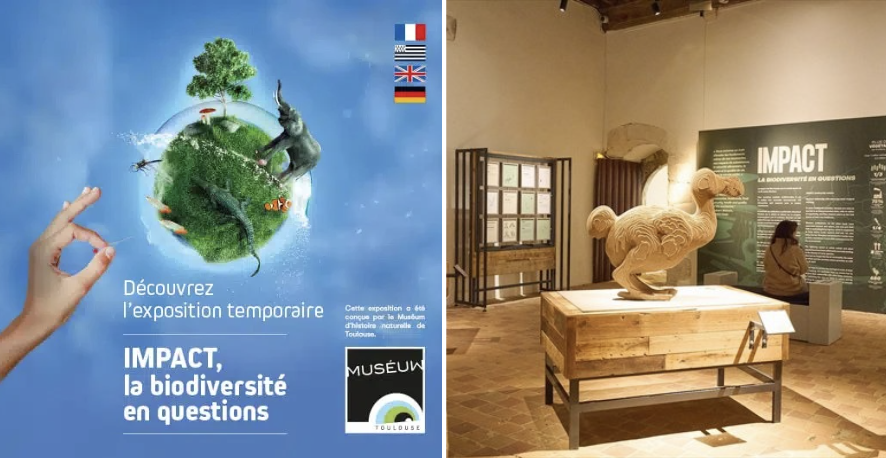 NOUVEAU EXPOSITION IMPACT , LA BIODIVERSITÉ EN QUESTIONS, 