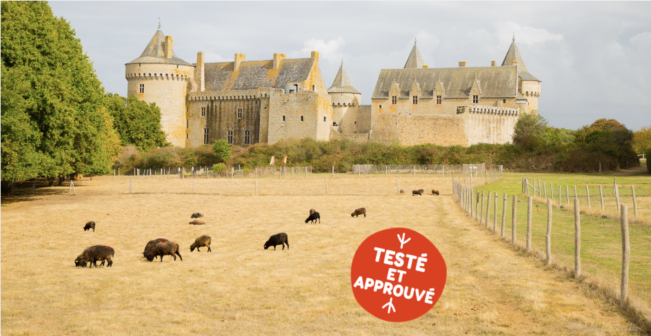 Château de Suscinio : Kidiklik a testé la visite immersive et ludique en famille 