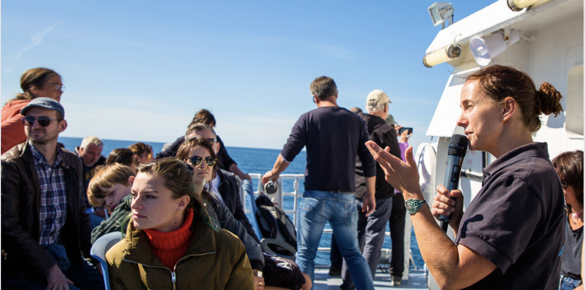 Animations nature gratuites à bord des bateaux de BreizhGo Penn Ar Bed