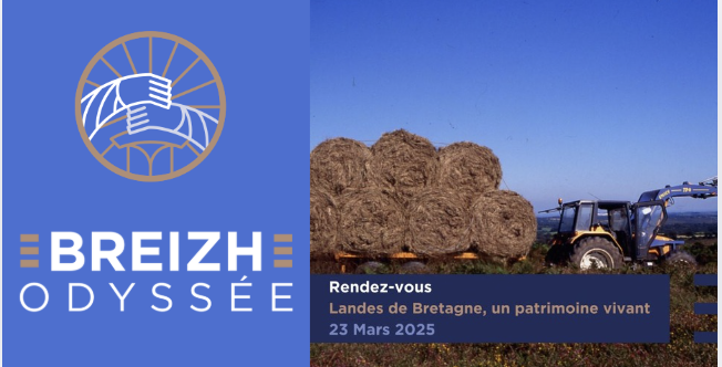 Plongez au cœur du secret des landes bretonnes - Breizh Odyssée à Landevennec