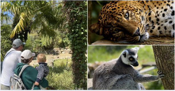 Rencontrez les animaux réfugiés des Terres de Nataé en famille durant les vacances de printemps