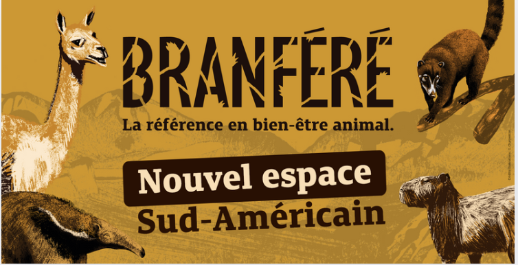 Nouvelle plaine sud américaine à découvrir cet été à Branféré