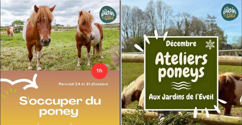 S'occuper du poney - Atelier nature pour enfants de 4 à 6 ans aux Jardins de l'Éveil à Saint-Thonan