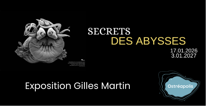 Secrets des Abysses, exposition de photographies de Gilles Martin à Ostréapolis