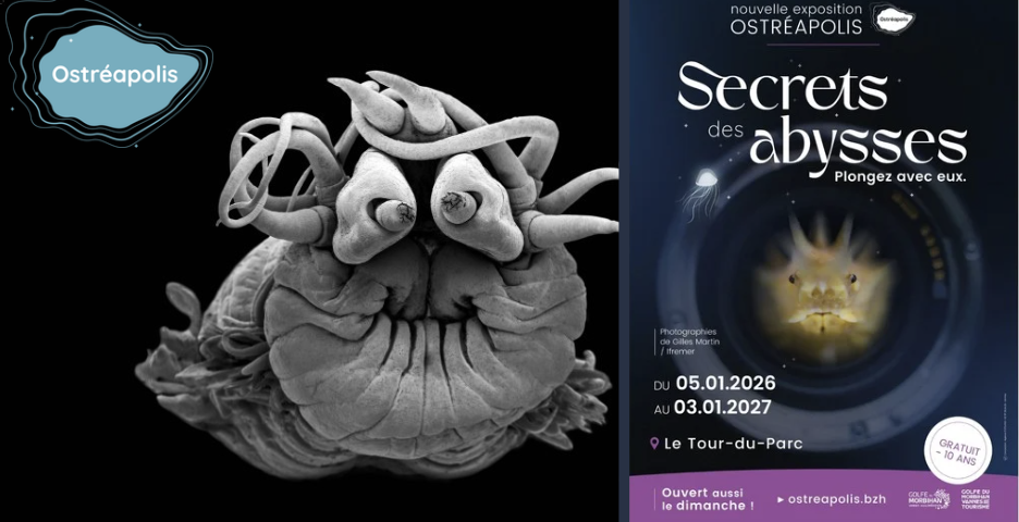 Atelier 7-10 ans : Un ver sous pression à Ostréapolis – Le Tour-du-Parc