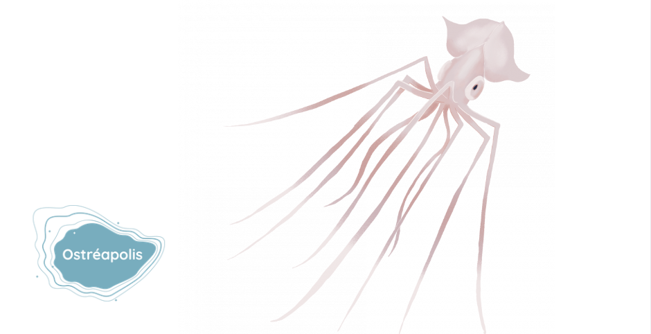 "Qui se cache au fond des océans ?", atelier 3-6 ans à Ostréapolis, Le Tour-du-Parc