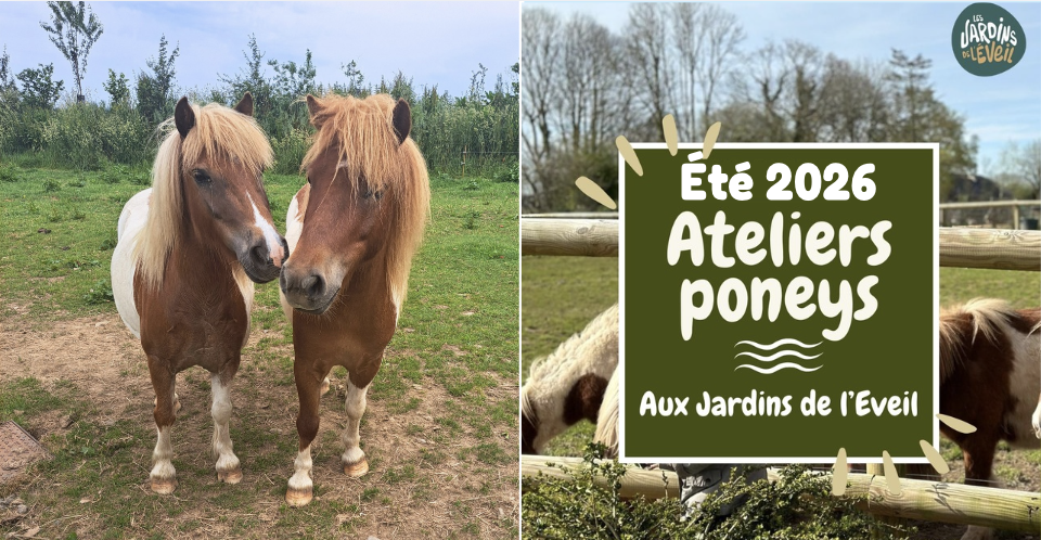Ateliers voltige et éveil poney tout l'été aux Jardins de l'Éveil !