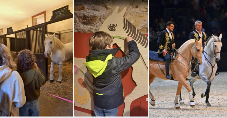 Visite & spectacle équestre cet été au Haras National d’Hennebont