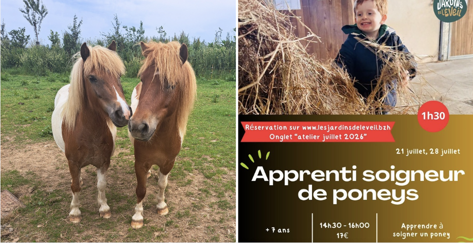 Apprenti soigneur de poneys pour les enfants de +7 ans aux Jardins de l'Éveil à Saint-Thonan
