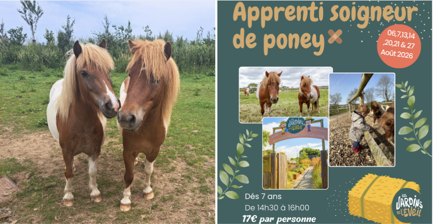 Apprenti soigneur de poneys pour les enfants de +7 ans aux Jardins de l'Éveil à Saint-Thonan