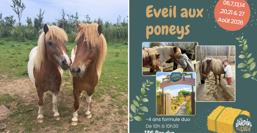 Atelier éveil au poney enfants -4 ans aux Jardins de l'Éveil à Saint-Thonan