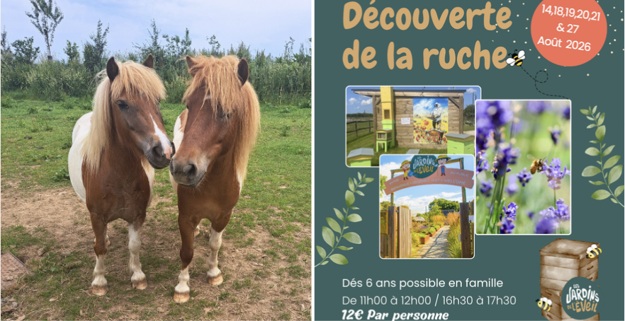  Découverte de la ruche - Atelier enfants dès 4 ans aux Jardins de l'Éveil à Saint-Thonan