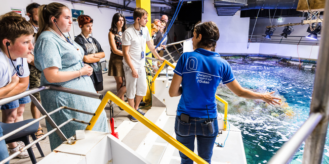 Visite-des-coulisses_Oceanopolis_Credit-photo_L-Oeil-de-Paco 