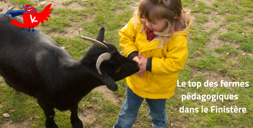 Le top des fermes pédagogiques en Finistère