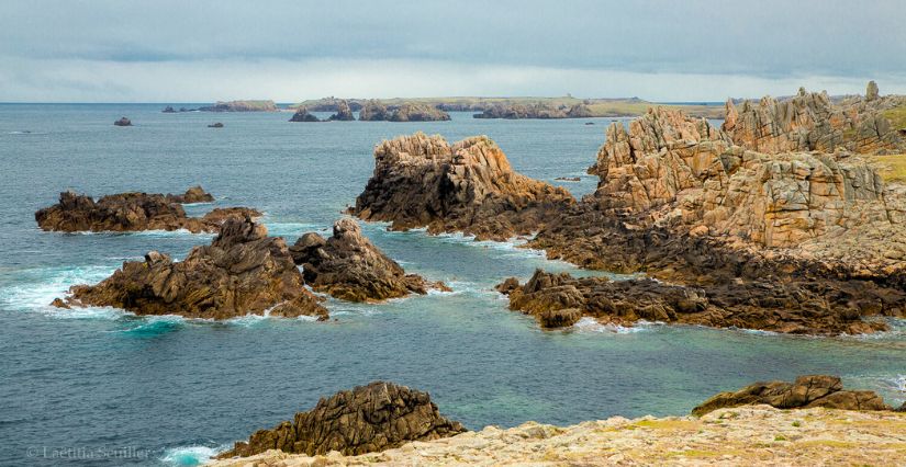 Ouessant © Laëtitia Scuiller