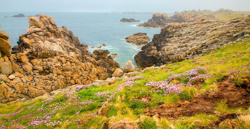 Ouessant © Laëtitia Scuiller 