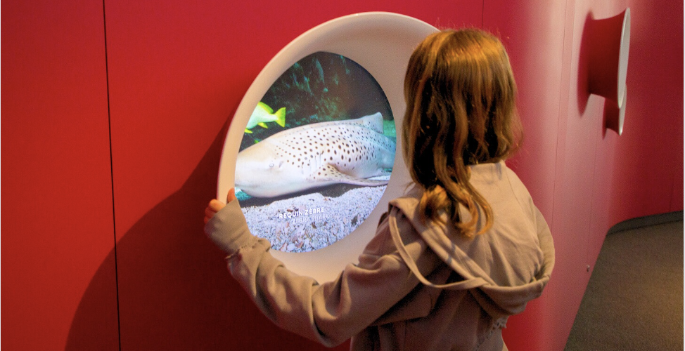  les yeux dans les yeux la Cité des Océanautes à Océanopolis © Laetitia Scuiller