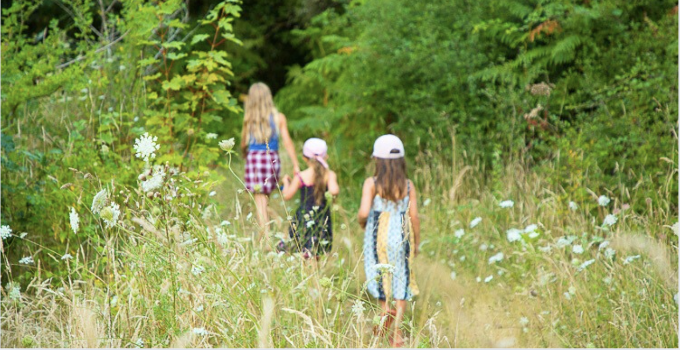 FIN DE L'ÉTÉ : notre sélection pour profiter de la nature en famille en Finistère et en Morbihan