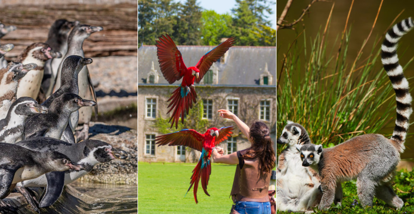 Le Parc de Branféré vous accueille durant les vacances d'hiver !