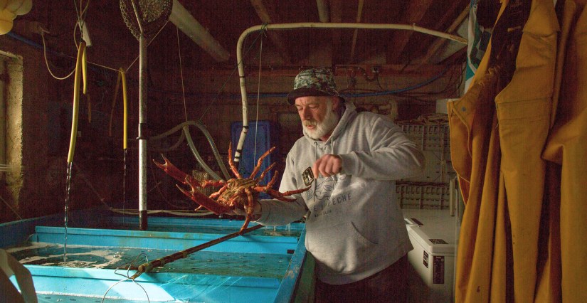 Loïc Milliner , pêcheur de l'île de Sein, seul inscrit maritime à bord de son bateau Patience © Laetitia Scuiller