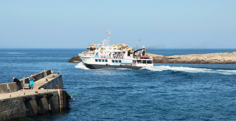L'Enez Sun - Kidiklik a mis le cap en famille sur l'île de sein : une aventure au bout du monde ! © Laetitia Scuiller