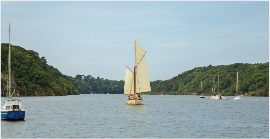 Vieux gréement Bateau éléctrique sans permis à La Roche-Bernard en famille ! © Laëtitia Scuiller