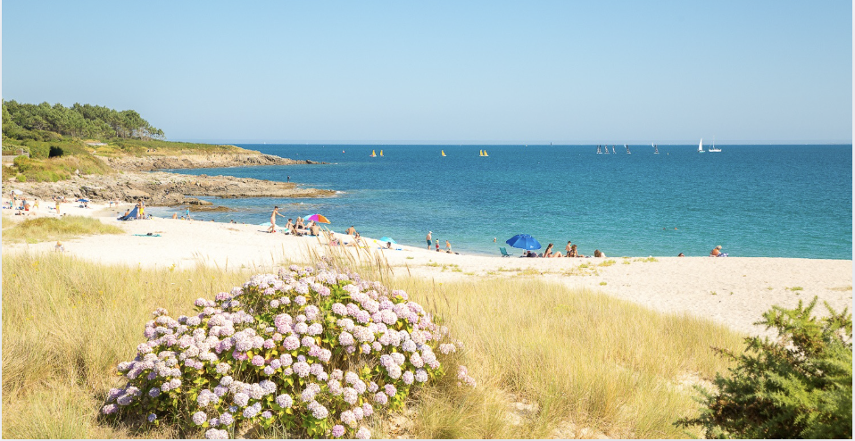 Cap sur le Pays Bigouden avec le circuit Bac’n Rando des Vedettes de l’Odet !© Laëtitia Scuiller
