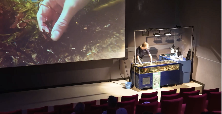 ANIMATION LE PETIT PEUPLE DE LA MER