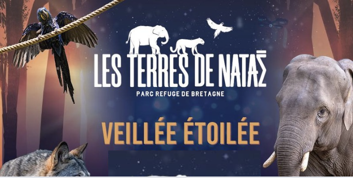 VEILLÉE ÉTOILÉE DURANT L'ÉTÉ AUX TERRES DE NATAÉ À PONT-SCORFF