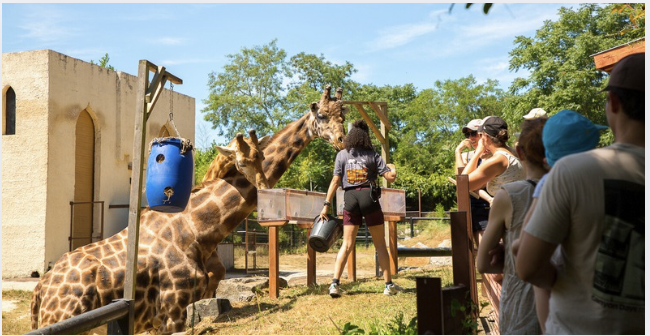 Nouvelles activités fun et nature à partager en famille cet été aux Terres de Nataé