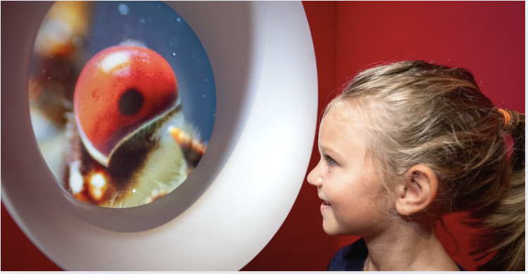 Exclusivité Le mercredi 22 octobre, l’entrée à Océanopolis est gratuite pour tous les enfants* déguisés en Océanautes ! © Océanopolis