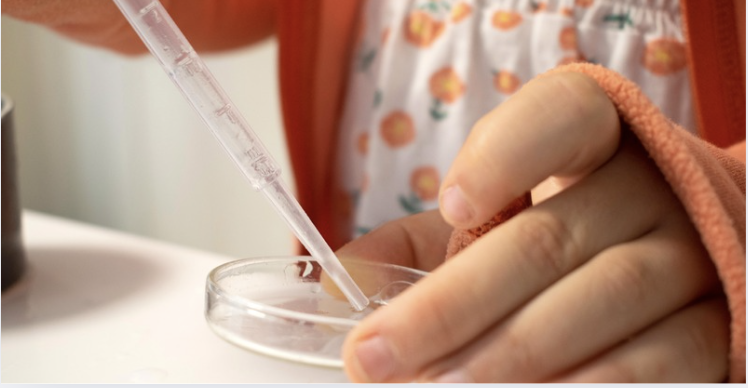 Ateliers scientifiques Explorateurs de plancton © Océanopolis
