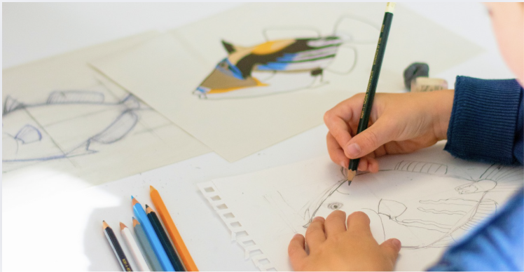 Découverte du dessin scientifique © Océanopolis