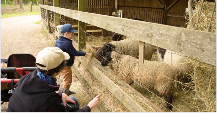 La ferme du Monde à Carentoire
