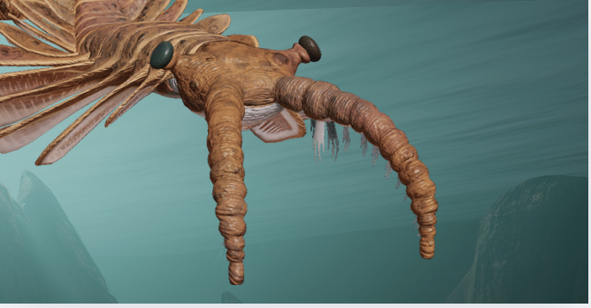 PALÉOCÉAN 3D : À LA DÉCOUVERTE DES ANIMAUX MARINS DISPARUS