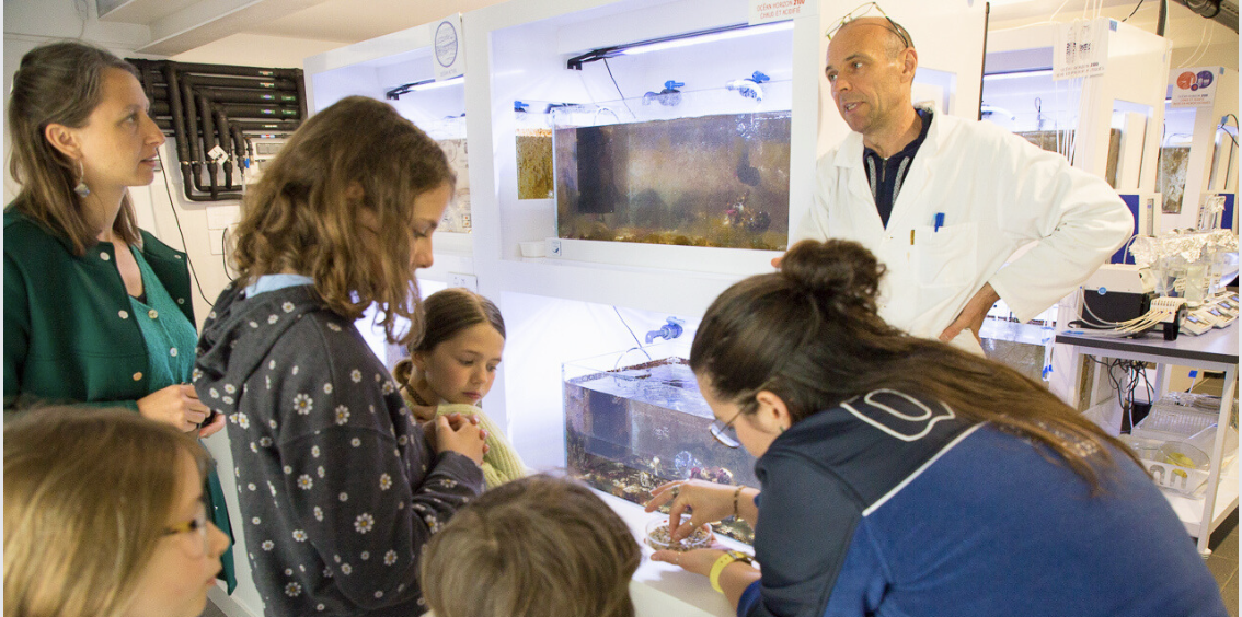 océanolab © laetitia Scuiller