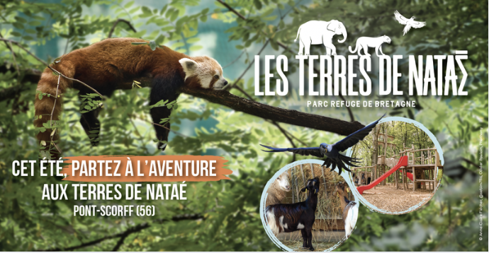 Terres de Nataé cet été : girafon, bébé phoque, ballet de drones et labyrinthe géant… une aventure animalière inoubliable en famille !