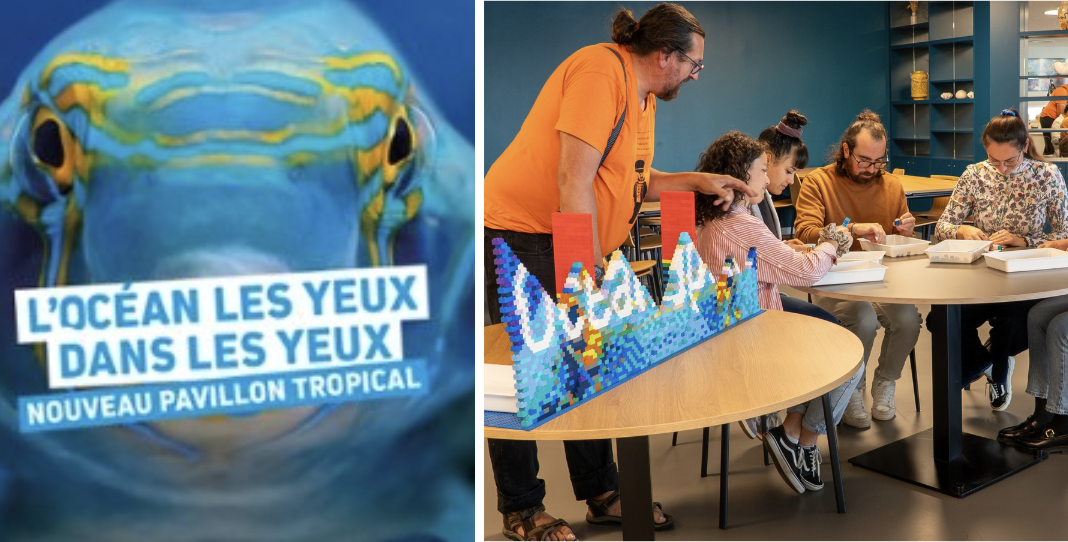 Pour ces vacances de la Toussaint, Océanoplis met à l'honneur son nouveau Pavillon Tropical à travers une programmation riche, créative et interactive