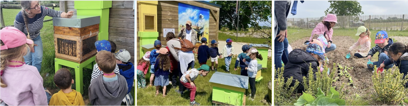 D’avril à octobre, l’équipe des Jardins de l'éveil propose différentes animations autour de la nature et de l’environnement adaptés aux scolaires depuis la primaire jusqu'au lycée et aux centres de loisirs.