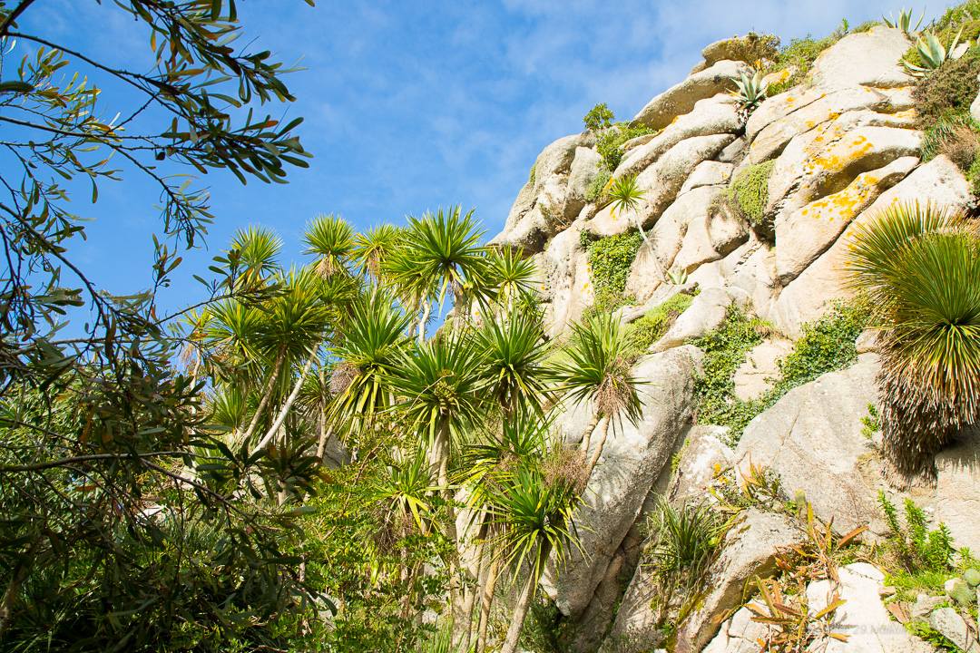 Le Jardin exotique & botanique de Roscoff : découverte en famille d'un univers enchanteur