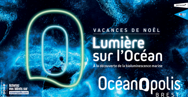 VACANCES DE NOËL : ANIMATIONS À LA DÉCOUVERTE DE LA BIOLUMINESCENCE MARINE À OCÉANOPOLIS BREST