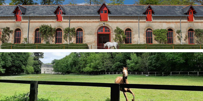 Visite du parc du Haras National d'Hennebont