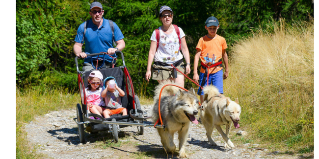 Cani-randonnées en famille dès 2ans avec Lounoock's à Pouldreuzic Cani-randonnées en famille dès 2ans avec Lounoock's à Pouldreuzic
