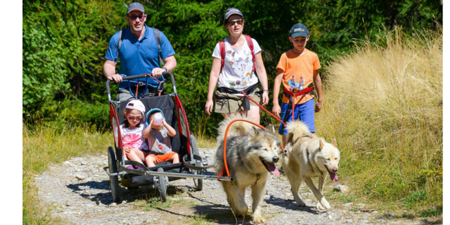 Cani-randonnées en famille dès 2ans avec Lounoock's à Pouldreuzic 