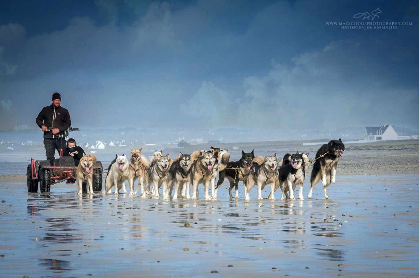 Cani-kart traîneau en famille avec Lounoock's à Pouldreuzic Cani-kart avec chiens de traîneau en famille avec Lounoock's - Pouldreuzic