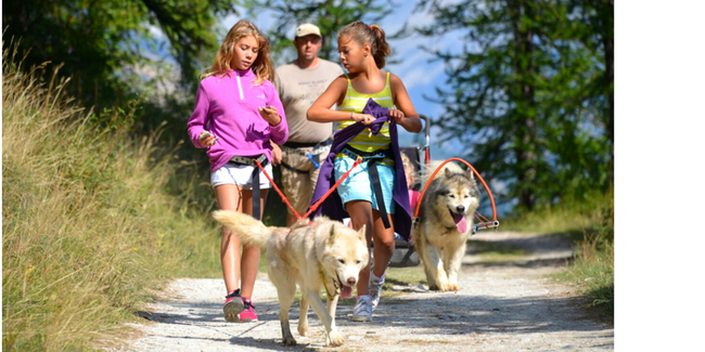 Activités chiens de traîneau en famille avec Lounoock's à Pouldreuzic Activités chiens de traîneau en famille avec Lounoock's à Pouldreuzic