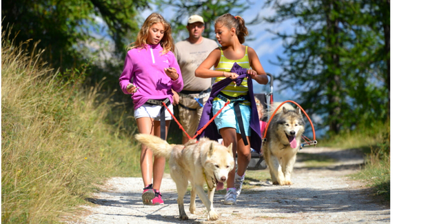 Activités chiens de traîneau en famille avec Lounoock's à Pouldreuzic