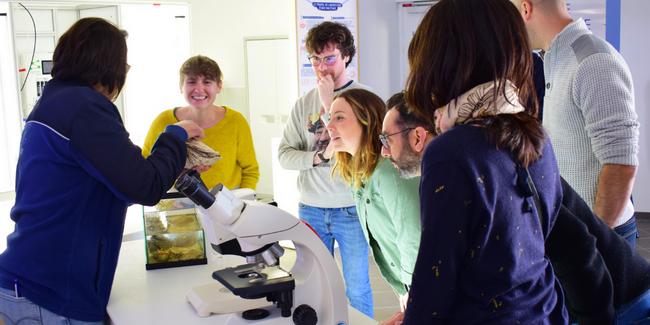 Océanolab, expérimentez en famille un nouvel espace au coeur de la recherche sur l'océan à Océanopolis