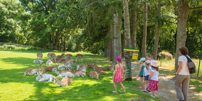 Parc animalier du Quinquis et filets suspendus du Parcabout à Clohars-Carnoët